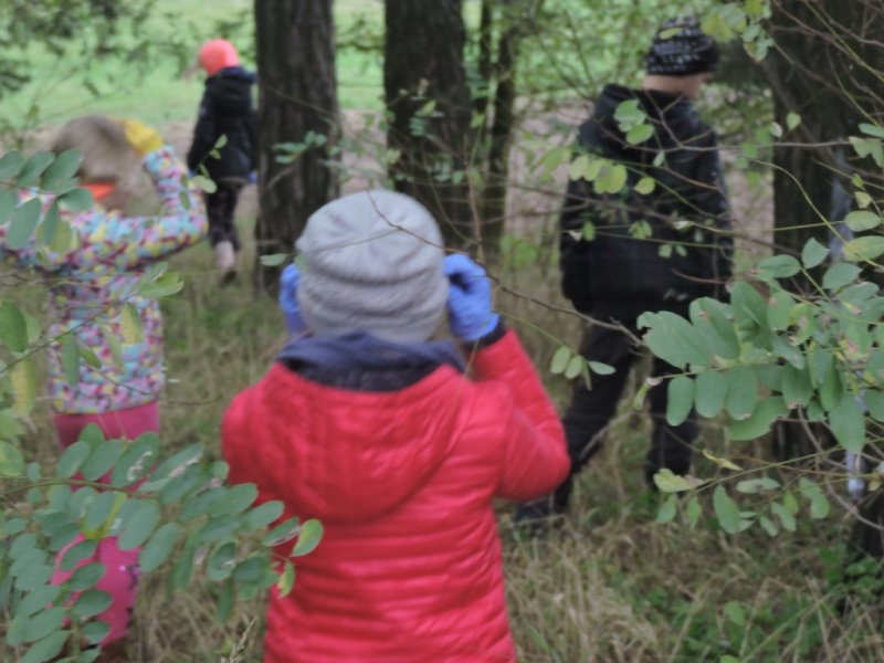Zuchy sprzątanie grobów